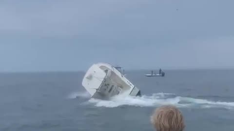 An upset whale