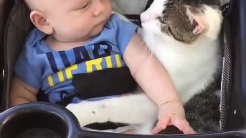Cat & Baby