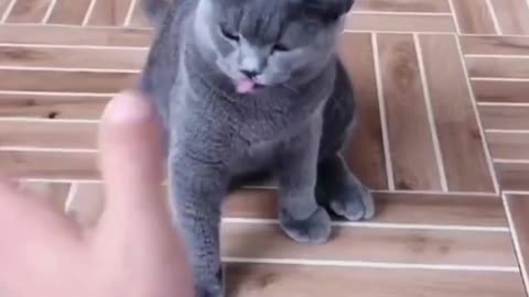 Best funny video #50