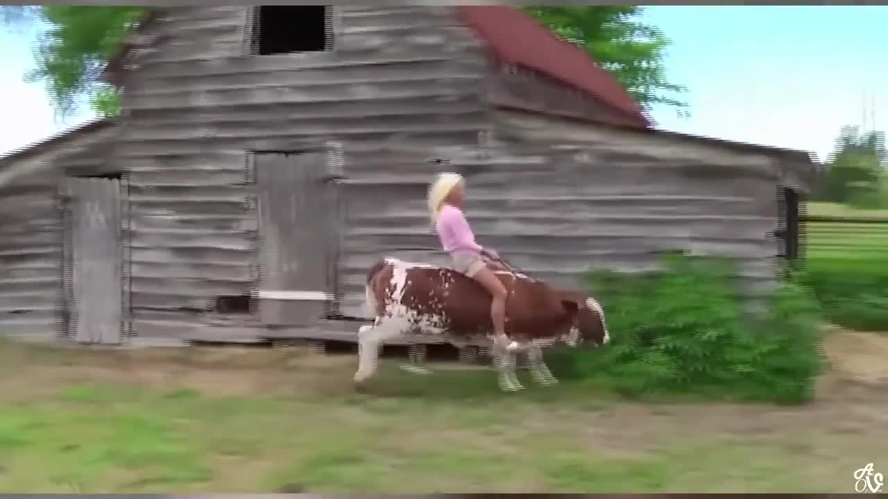Try Not To Laugh Challange #funny animals#cats#dogs