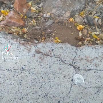 Waiting and ready to go