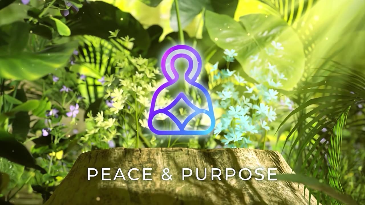 Peace & Purpose - The Healing Harbor