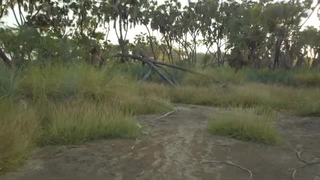 Awash National Park with an Ethiopian