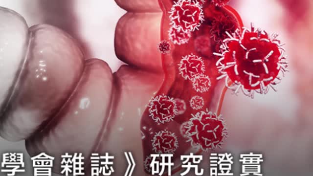 5大養生秘訣 癌細胞看了都怕