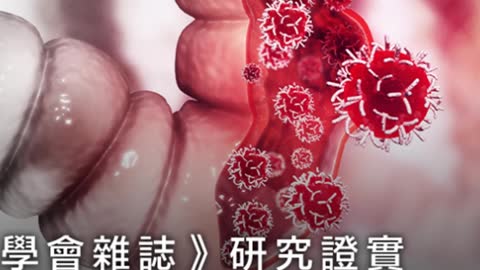 5大養生秘訣 癌細胞看了都怕