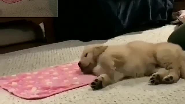 Don't up