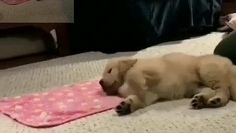 Don't up