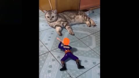 Cute and Very Funny Pets Video All The Way