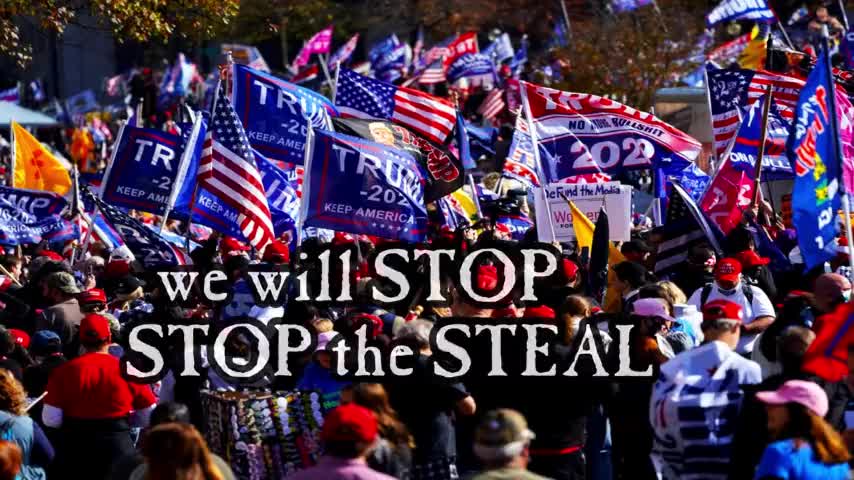 "STOP THE STEAL 2.0"