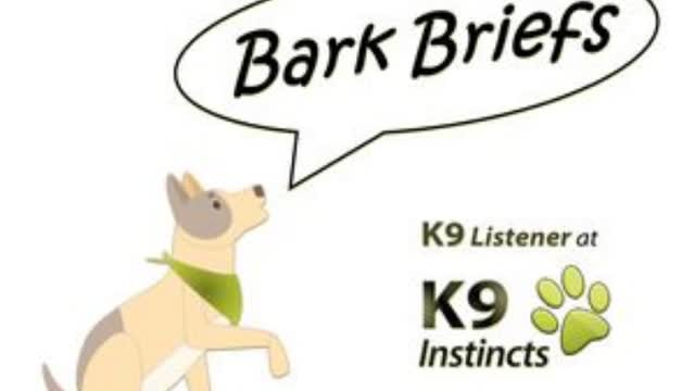 Bark Briefs - Welcome & Intro