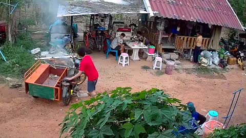 Barbequing Pig Has Some Unexpected Results