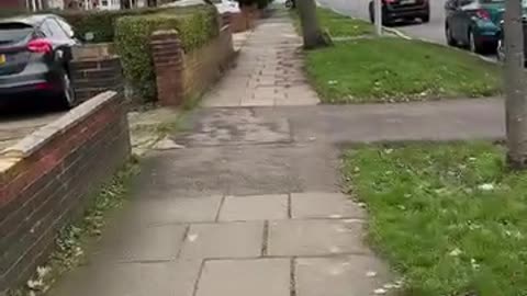 Matt...