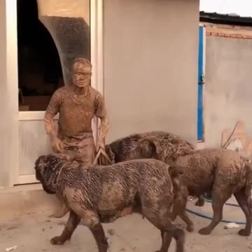 It was a VERY HARD DAY!!