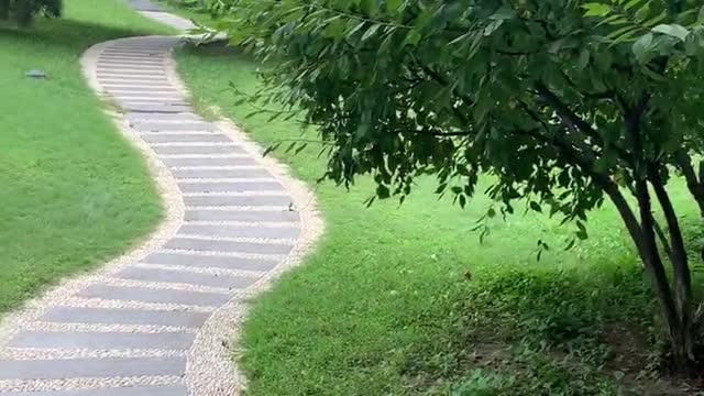 A winding path