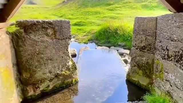 A fresh and beautiful place
