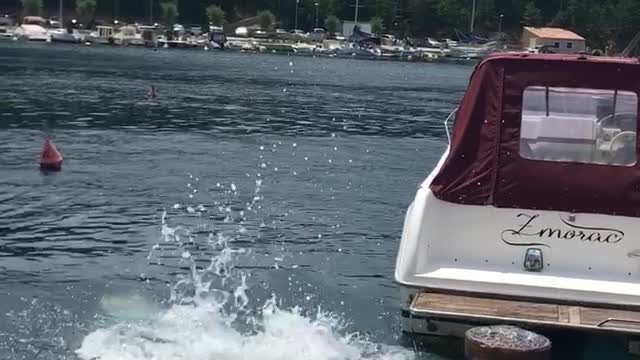 Guy and dog jumping into water at the same time