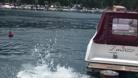 Guy and dog jumping into water at the same time