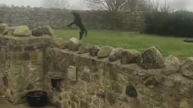 Athletic dog prevents balloon from ever touching the ground