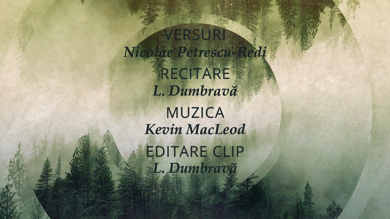 Nicolae Petrescu-Redi - Puntea Suspinului