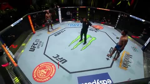 FINISH FIGHT - Alex Pereira vs Khalil Rountree - UFC 307