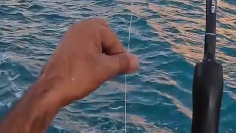 Survival Fishing