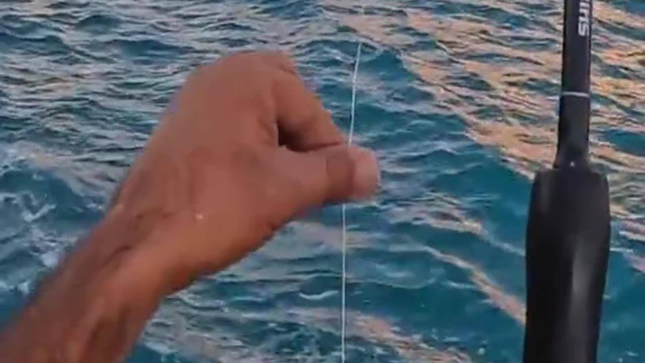 Survival Fishing