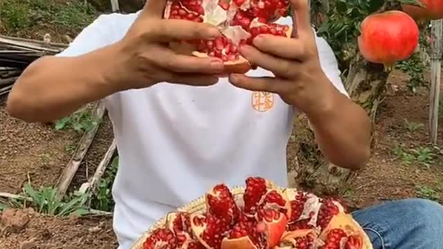 Farm Fresh Ninja Fruit Cutting Desi Satisfying Fruit Ninja Fruit Ideas | Amazing Fruits Video