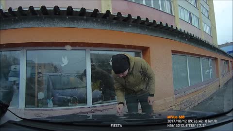 Dogs Party on Parked Car