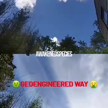 What is real, what isn't, hard to say