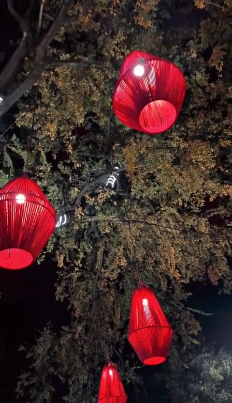 Beautiful view status #status #rerl #viral