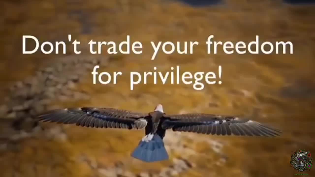 Don't Trade your Freedom for Privilege