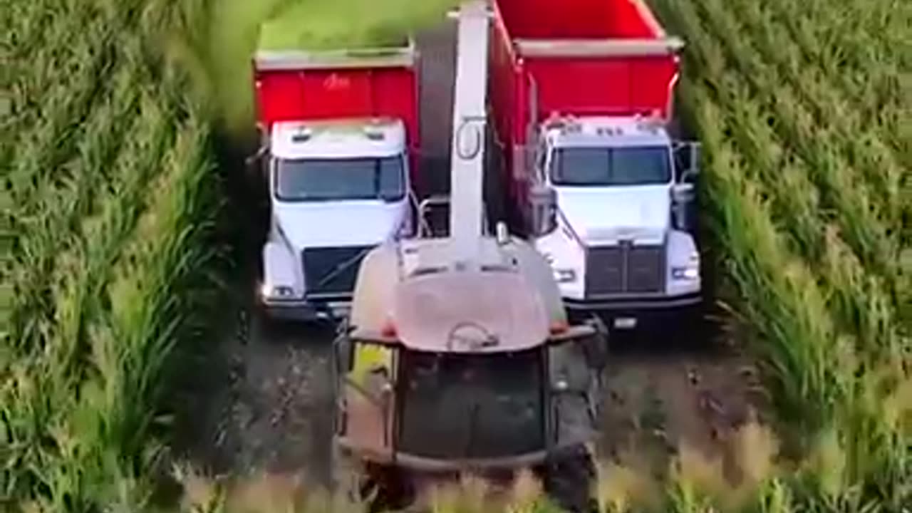 Educational Purposes Only..!