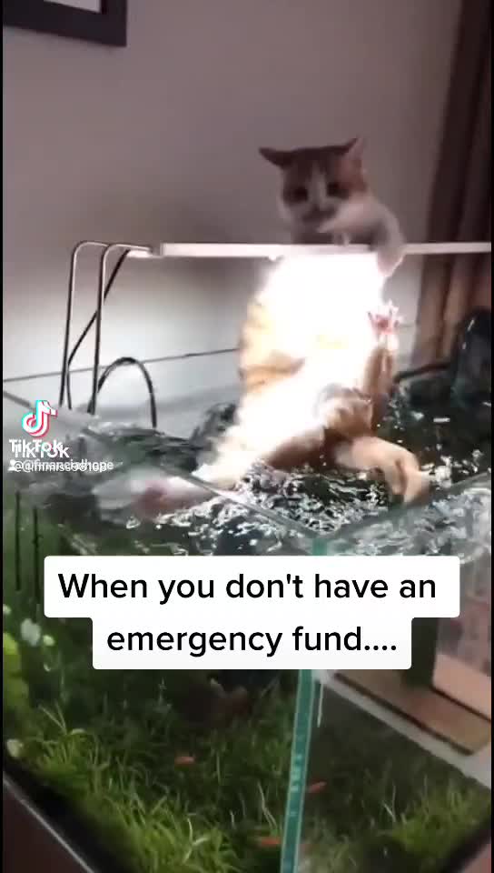 This is why your money is important