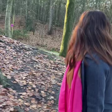 Winter | walking in the park