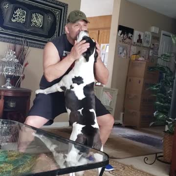 Who let the dogs out 69