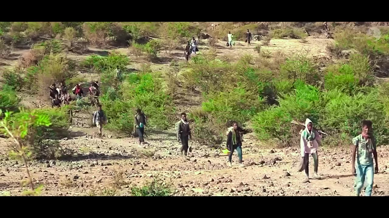 Amanuel Yemane - Harire - አማኑኤል የማነ - ሃሪረ