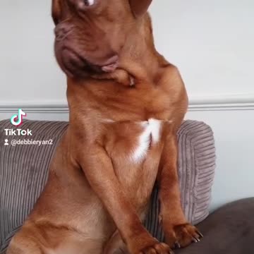 Do you know what love is?