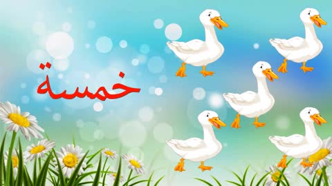 تعليم الاطفال الارقام بالعربية || Teaching children numbers in Arabic