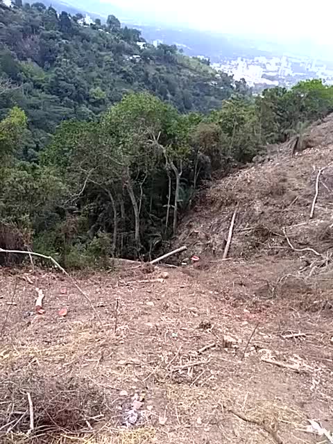 Impresionante tal Floridablanca