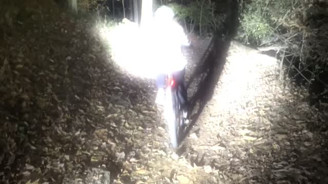 2020 Night Fun on Harmony Hill