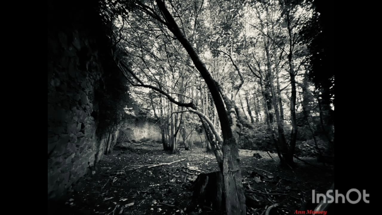 St. Katherine's Abbey-Ireland