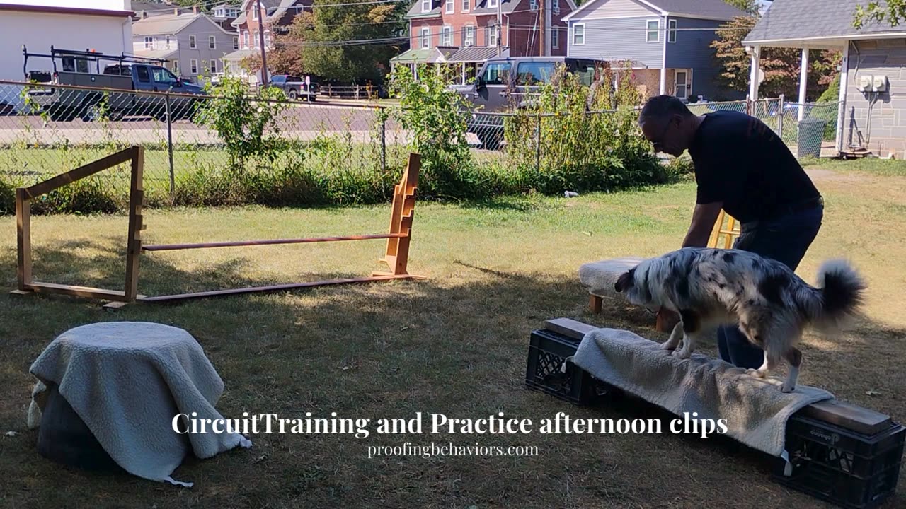 Circuit Training and Practice afternoon clip 2