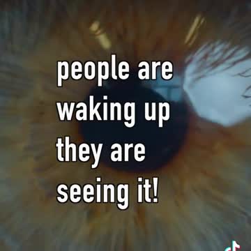 Woolves Amongst The Sheep