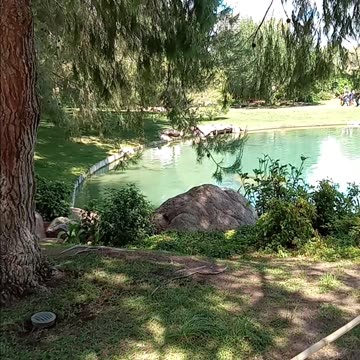 Phoenix Arizona Friendship Garden