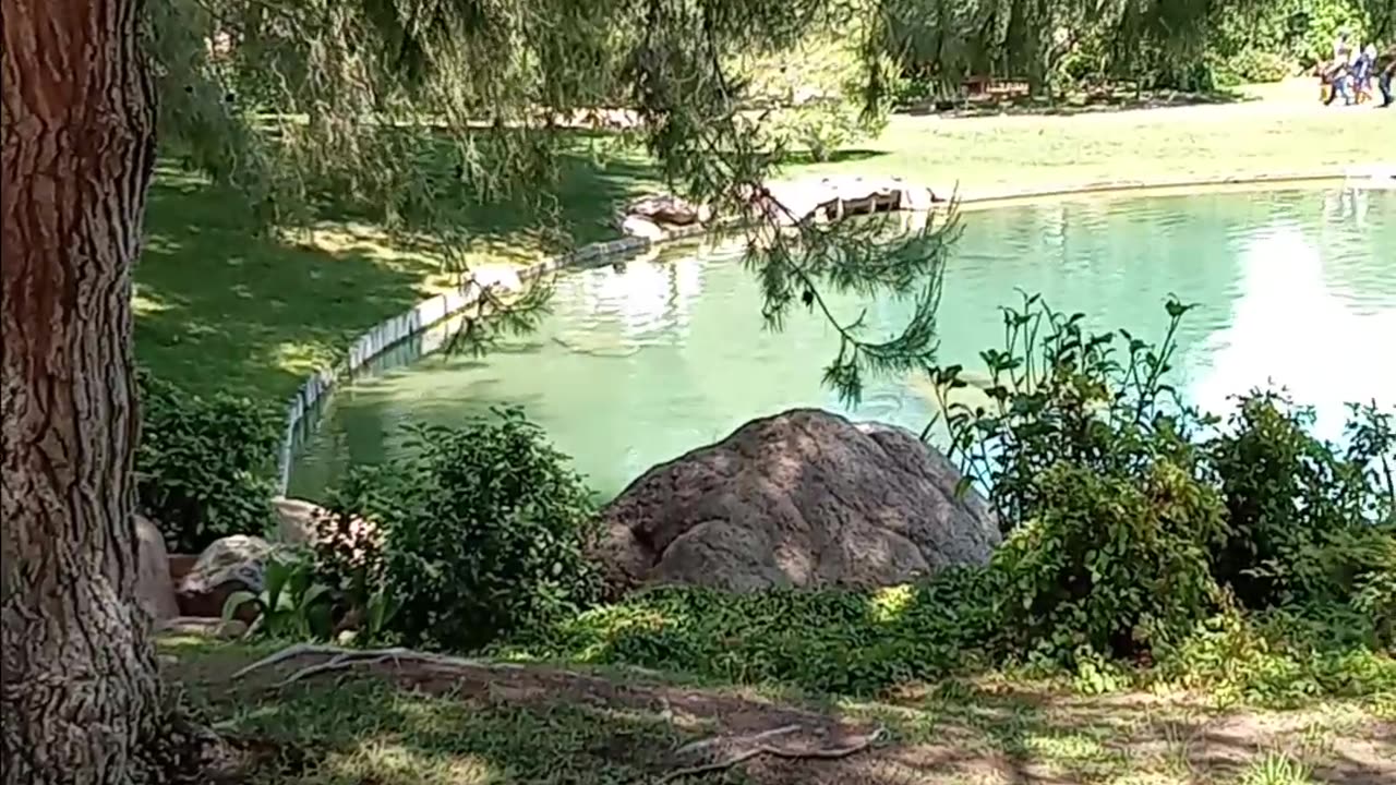 Phoenix Arizona Friendship Garden