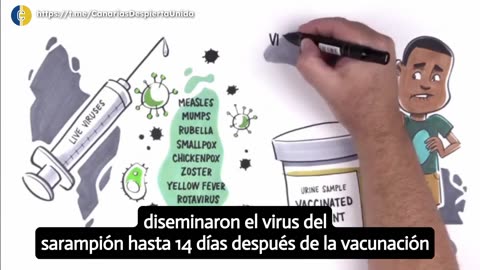 ¿Qué hay tras las vacunas?