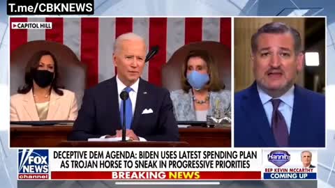 Ted Cruz Schools Joe Biden On "We The People"