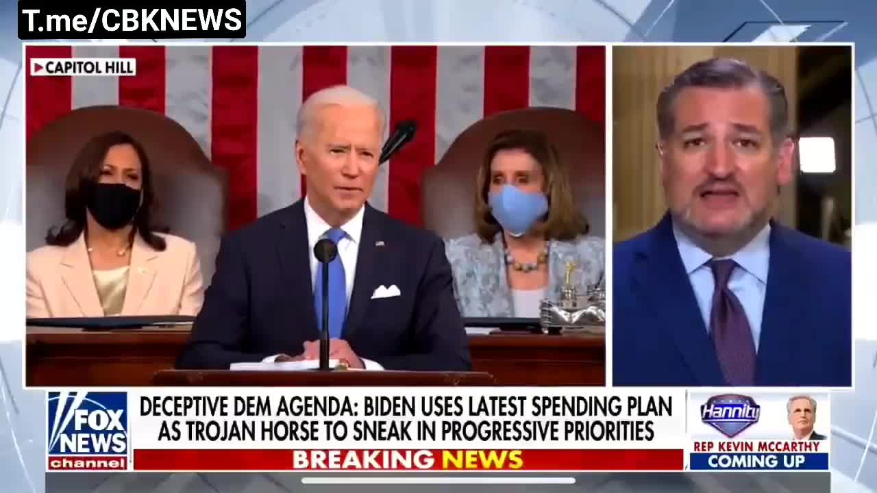 Ted Cruz Schools Joe Biden On "We The People"