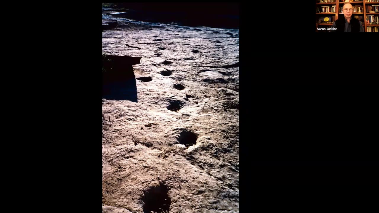 Dinosaur Trackways by Dr. Aaron Judkins