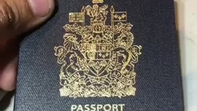 Right to travel freely